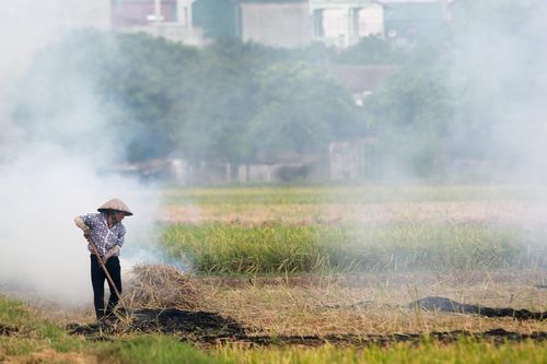 Dân đốt rơm rạ, không khí Hà Nội bị xếp hạng ô nhiễm nhất thế giới