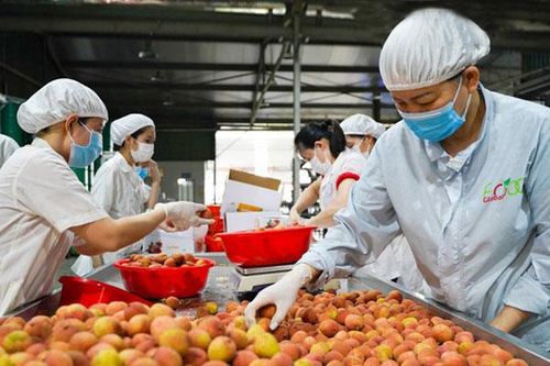 Để hàng Việt chinh phục thị trường 'khó tính'