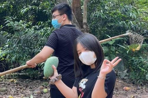 3 anh em ở TP.HCM bán xoài, ủng hộ tiền cho quỹ vaccine