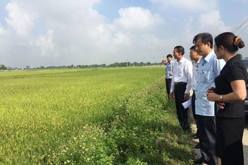Ứng Hòa về đích huyện nông thôn mới