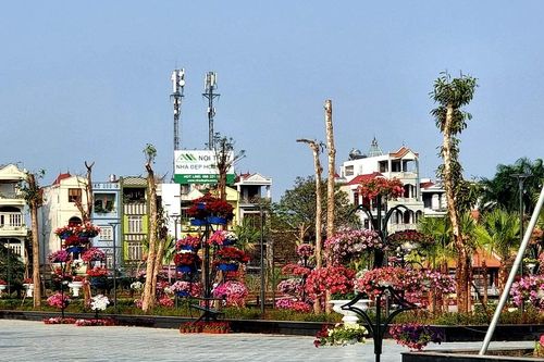 Hải Phòng: Nguyên nhân gạch lát nền bị nứt, sứt mẻ tại công viên Máy Tơ