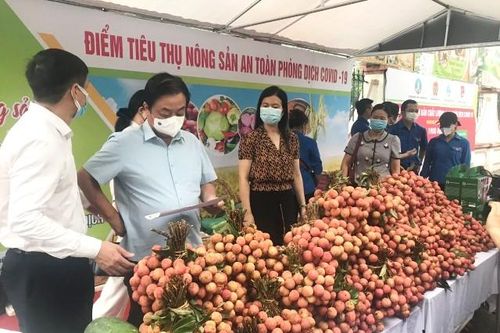 Ra mắt 5 điểm hỗ trợ, kết nối tiêu thụ nông sản tại Hà Nội