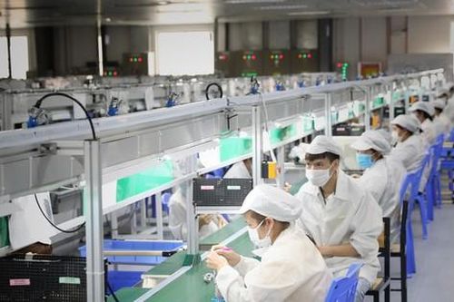 Kiểm soát dịch, hồi sinh sản xuất