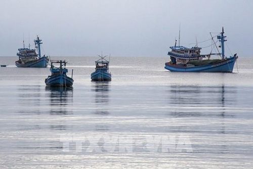 Xử lý nghiêm tổ chức, cá nhân để tàu cá khai thác hải sản trái phép