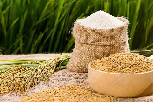 Giá xuất khẩu gạo tăng cao