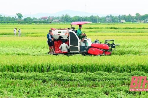 Phát triển nông nghiệp và xây dựng nông thôn mới bền vững: Phát triển nông nghiệp theo vùng