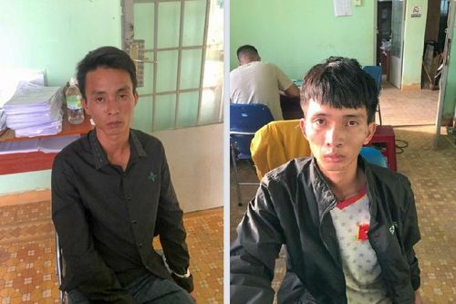 Tạm giữ 2 anh em ruột đi trộm bò
