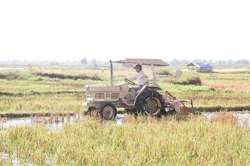 Hỗ trợ cho nông dân phát triển sản xuất, kinh doanh