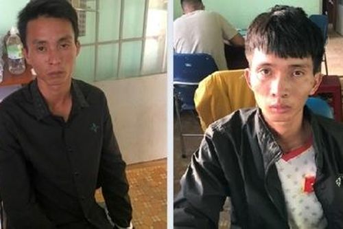 Hai anh em ruột rủ nhau đi trộm bò