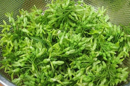 Hoa thiên lý nấu món gì ngon?