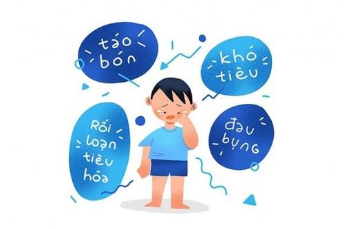 Hệ tiêu hóa khỏe - Chìa khóa giúp cơ thể tránh xa bệnh tật