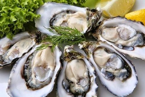 3 món ăn giàu kẽm dành cho nam giới hiếm muộn