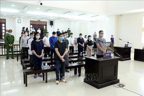 Nhiều bị cáo trong vụ Công ty Nhật Cường buôn lậu kháng cáo