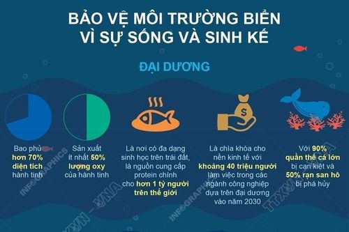 Ngày Đại dương thế giới: Bảo vệ môi trường biển vì sự sống và sinh kế
