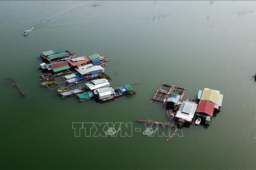 Hướng đi mới cho việc phát triển kinh tế trên lòng hồ