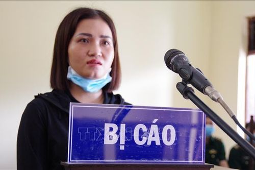 Xét xử đối tượng nhập cảnh trái phép qua biên giới