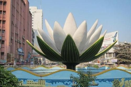 Hoa súng trắng là biểu tượng của nước nào?