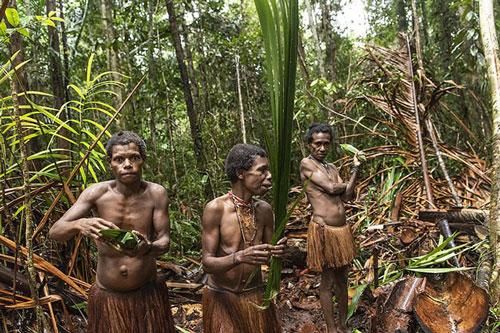 Hình ảnh hiếm hoi về người Korowai - bộ lạc mà thế giới 'suýt' không biết đang tồn tại