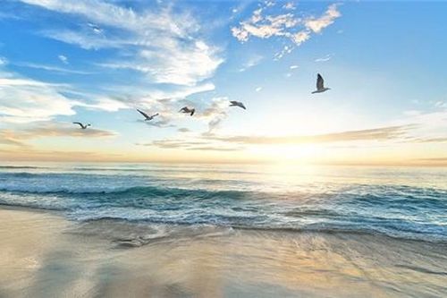 Bảo vệ đại dương vì sự sống và sinh kế