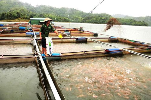 Thi đua làm giàu trong xây dựng nông thôn mới kiểu mẫu