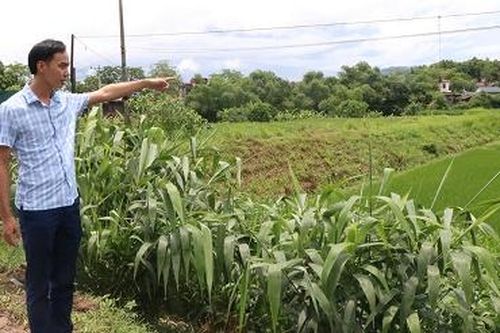 Chủ động phòng, chống ngập úng và sạt lở đất