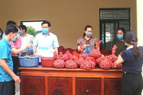 Hội nông dân tỉnh hỗ trợ tiêu thụ nông sản