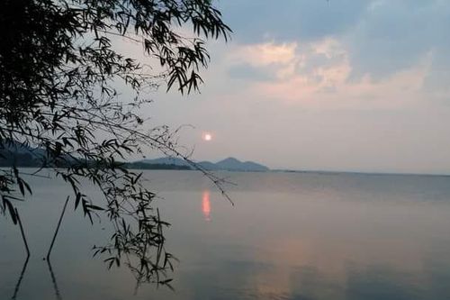 Gợi một chút tình