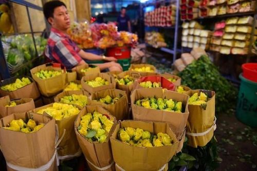 TP Hồ Chí Minh: Đồng ý mở cửa chợ hoa Đầm Sen trong 3 ngày để 'cứu' hoa Đà Lạt