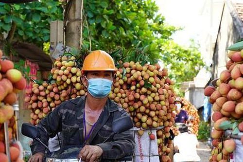 Ưu tiên tiêm vắc xin cho các lái xe, thương lái thu mua nông sản
