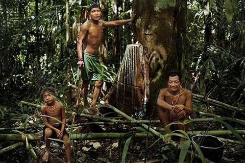 Lạ lùng bộ lạc trong rừng thẳm chỉ ngủ 30 phút mỗi đêm, không có số đếm