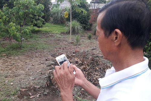 Đạ Tẻh: Triển khai hệ thống tưới thông minh qua smartphone cho vườn cây ăn quả
