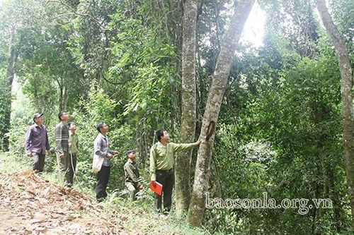 Sông Mã tăng cường bảo vệ, PCCCR