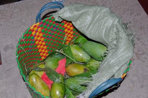 TP Hồ Chí Minh: Kiểm tra giỏ xoài, phát hiện cất giấu hơn 20 kg ma túy