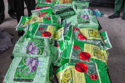 Chặn ôtô chở 20 kg ma túy ở TP.HCM