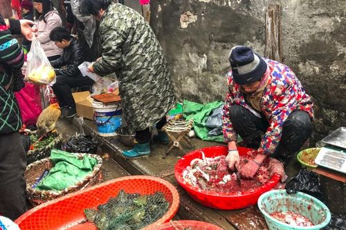 Phát hiện mới về các chợ ở Vũ Hán trước khi bùng dịch Covid-19