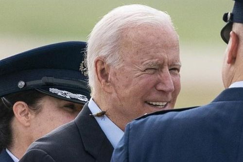 Ông Biden bị ve sầu 'quấy nhiễu' trước khi lên Không lực Một