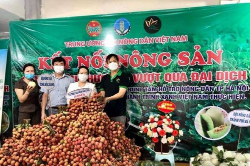 Hội Nông dân Hà Nội kết nối tiêu thụ nông sản mùa dịch