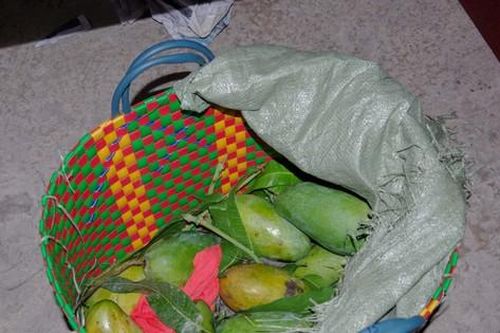 Vận chuyển 20kg ma túy từ Đồng Tháp lên TPHCM, ngụy trang trong túi đựng xoài