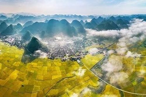 Cuộc thi sáng tác Logo, bộ nhận diện thương hiệu 'Festival Nhiếp ảnh quốc tế Việt Nam'