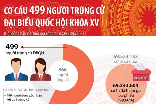 Cơ cấu 499 người trúng cử đại biểu Quốc hội khóa XV