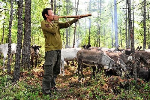 Ewenki - bộ tộc sống nhờ tuần lộc ở Trung Quốc