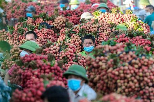 Người dân Lục Ngạn rồng rắn đi bán vải, nhiều tuyến đường tê liệt trong nhiều giờ