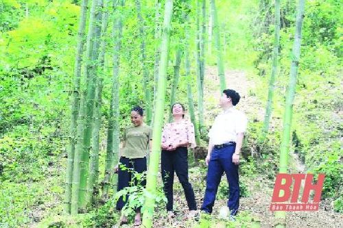 76 khách hàng được vay vốn hỗ trợ lãi suất theo Nghị quyết 30a của Chính phủ