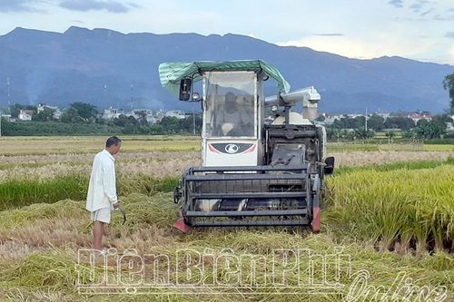 Chuỗi liên kết sản xuất nông nghiệp chưa bền vững