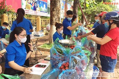 Hỗ trợ tiêu thụ vải thiều Bắc Giang