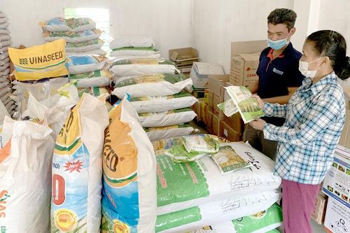 Không khan hiếm giống, vật tư sản xuất vụ mùa