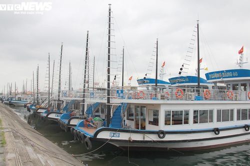 Chủ tàu du lịch Hạ Long kiệt quệ, sốc tâm lý nặng, vay tiền khắp họ hàng