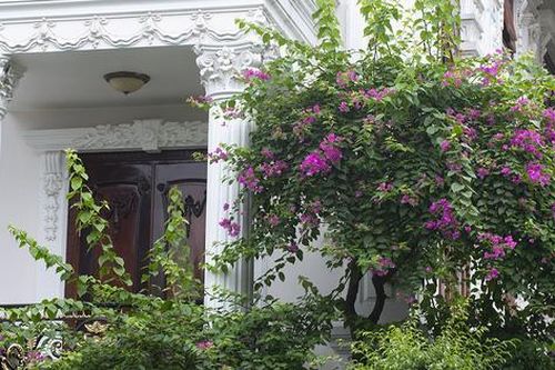 Những ngôi nhà có mặt tiền hoa giấy cực lãng mạn khiến ai nhìn cũng mê