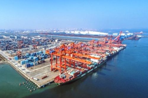 Trung Quốc ngừng nhập khẩu thực phẩm đông lạnh từ Việt Nam và 10 quốc gia tại cảng Trạm Giang