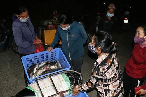 Hà Tĩnh: Ngư dân trúng đậm cá thiều